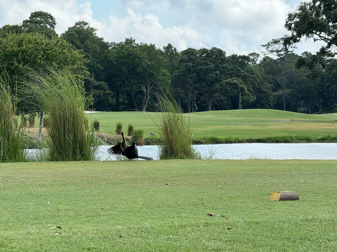 George Fazio Golf Course-希尔顿头岛必去景点