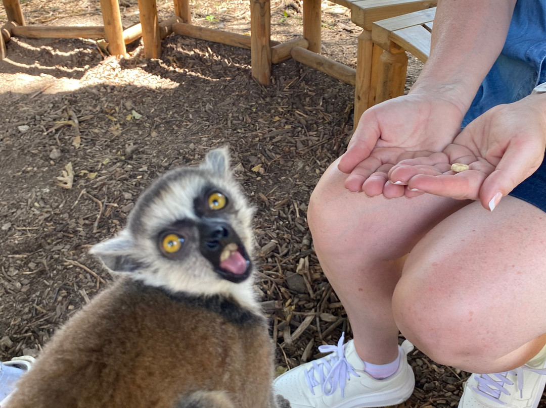 Eureka Springs Safari Park-Eagle Rock必去景点