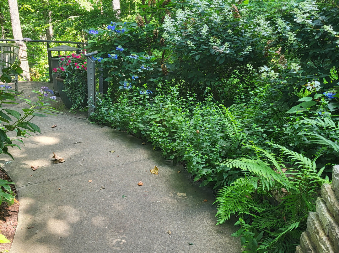 Atlanta Botanical Garden Gainesville-盖恩斯维尔必去景点