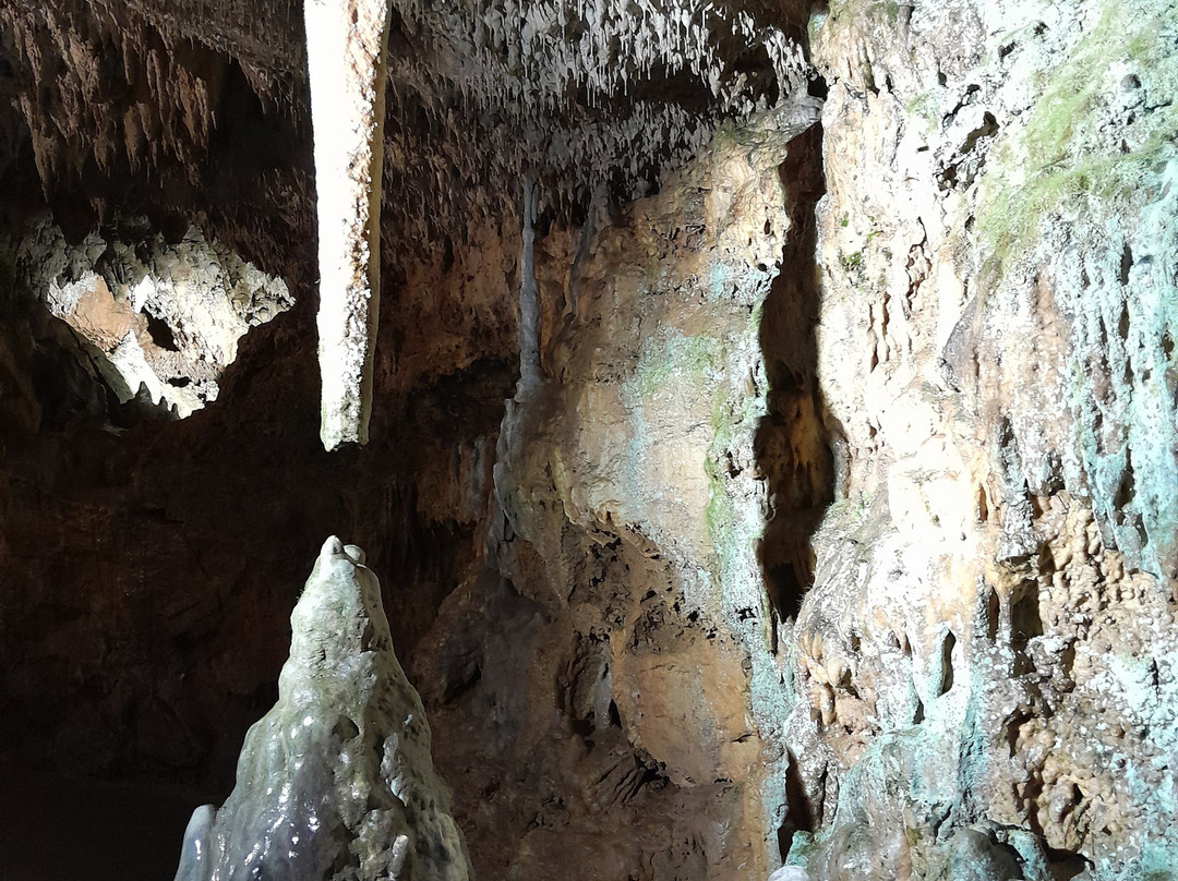 Bärenhöhle-Sonnenbuehl必去景点