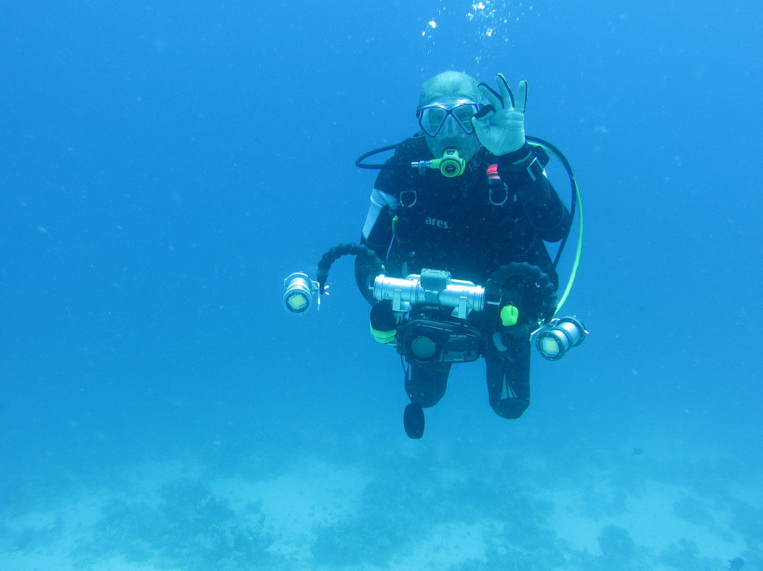 Volkert Dive Center-Safaga必去景点