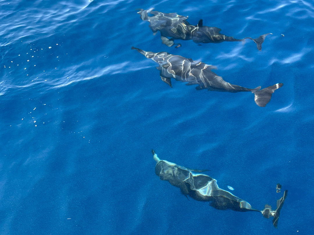 Wonderful Dive-马萨阿拉姆必去景点