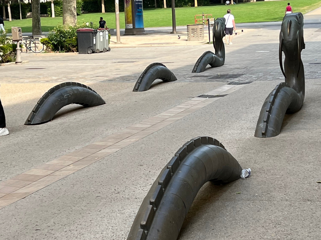 Les Dragons De Niort-尼奥尔必去景点