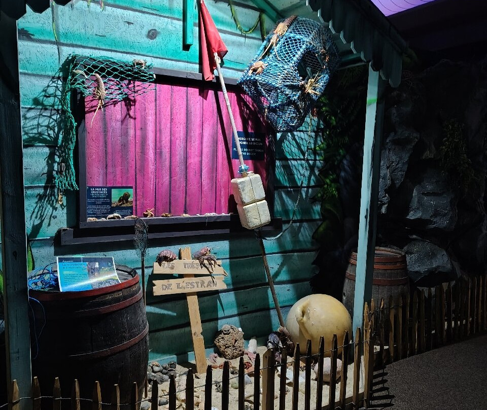 Aquarium de Vendée-Talmont Saint Hilaire必去景点