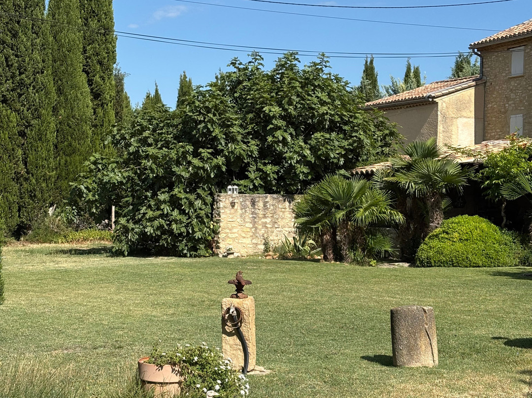 Domaine la Condamine主图