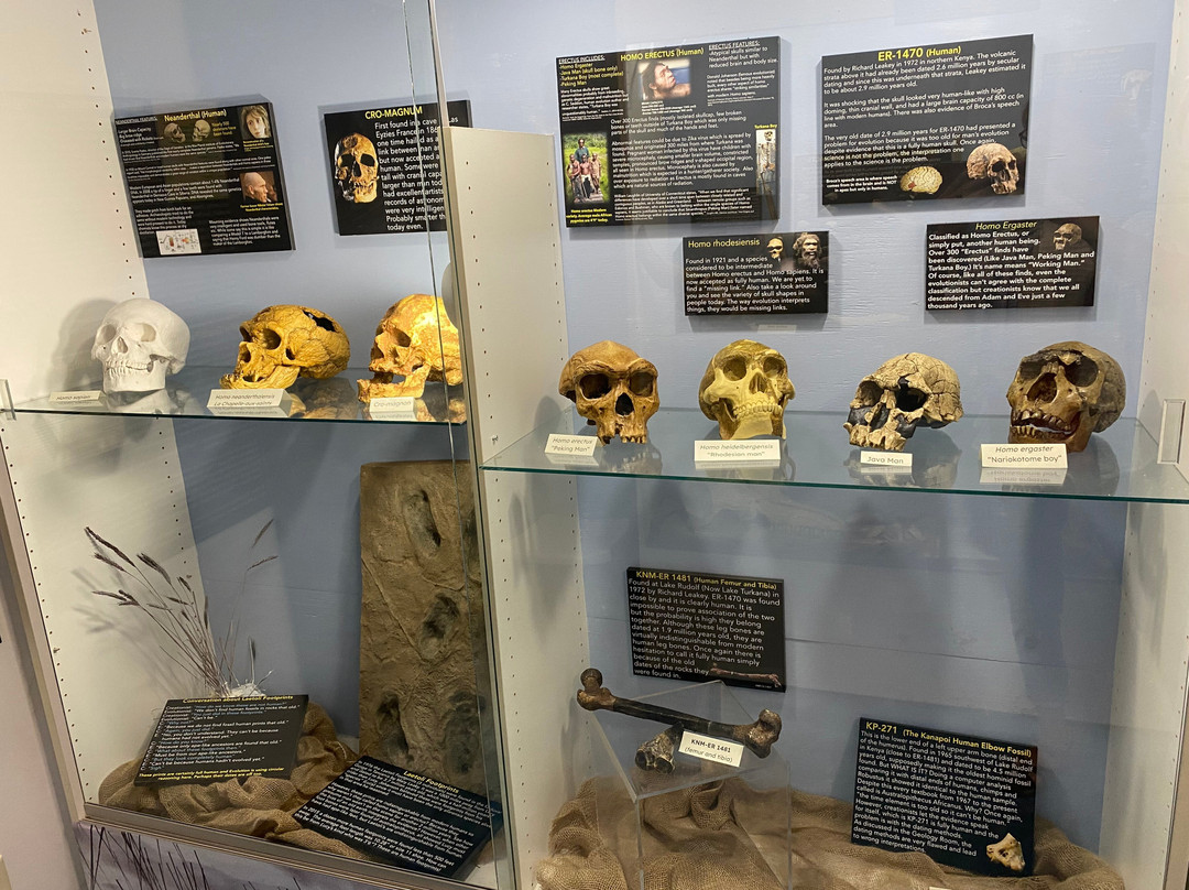 Boneyard Creation Museum-Broken Bow必去景点