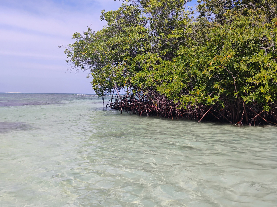 Bosque Estatal de Guánica-Guanica必去景点