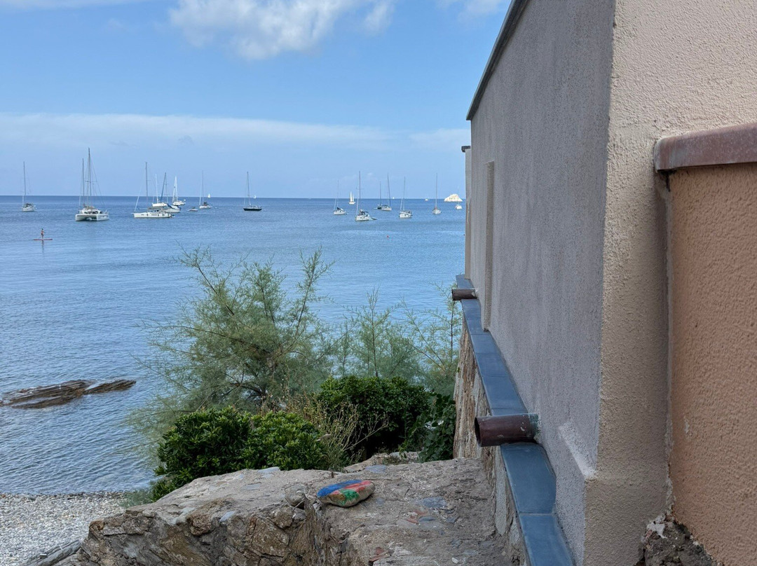 Viticcio Beach-费拉约港必去景点