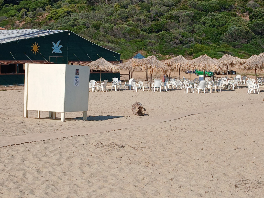 Megalos Aselinos Beach-斯亚索斯必去景点