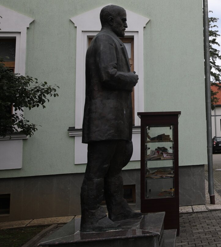 Une Statue Du Poète George Coșbuc-Bistrita Bargaului必去景点