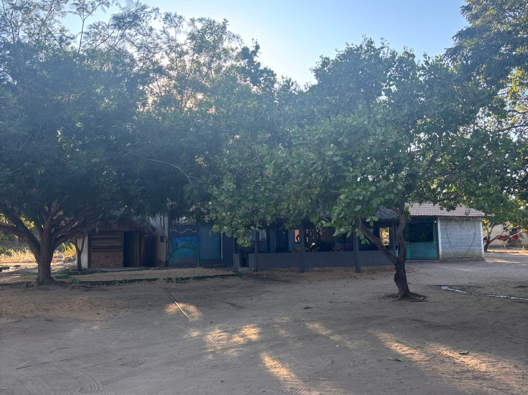 Fervedouro Do Alecrim-Sao Felix do Tocantins必去景点