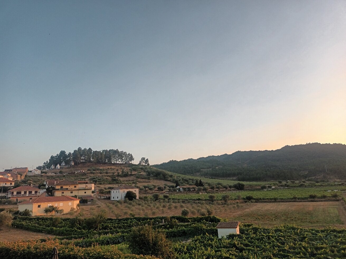 Quinta do Palame-官方