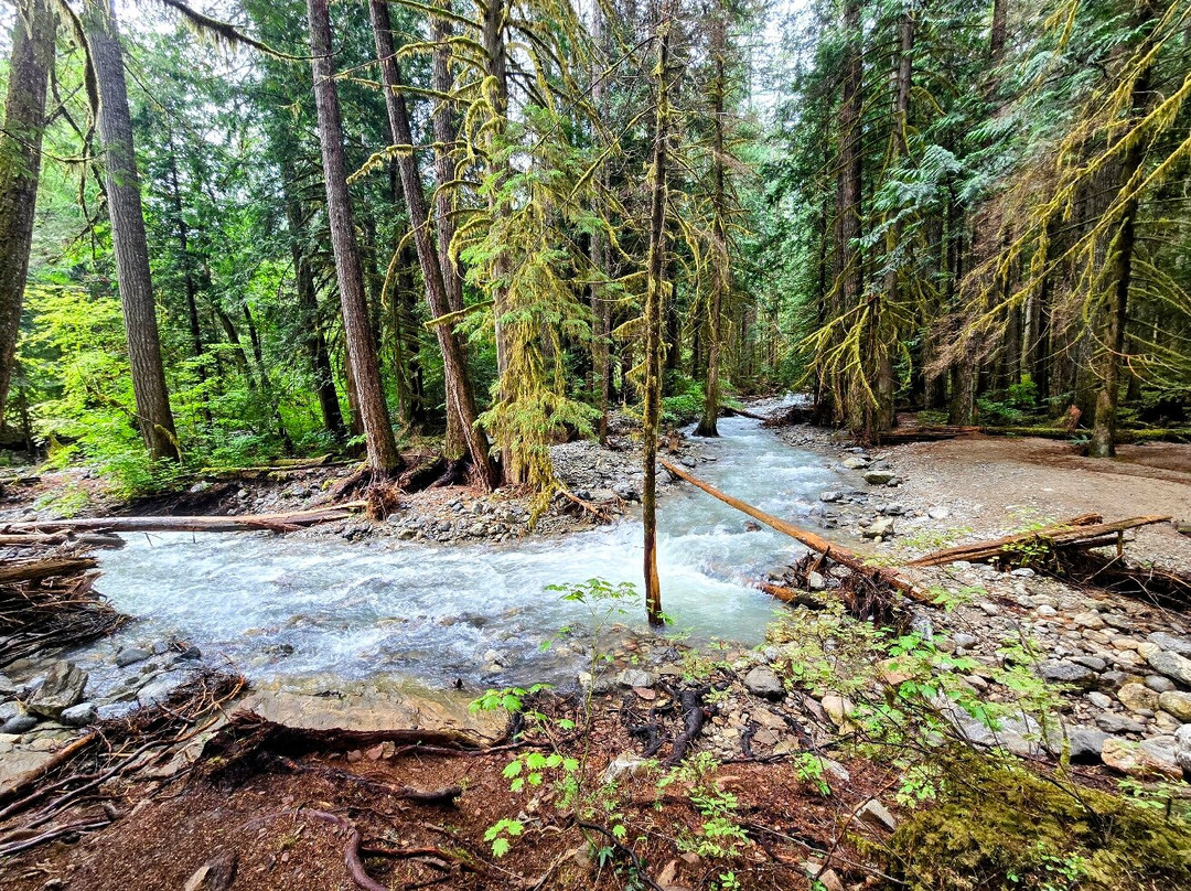 North Cascades National Park-North Cascades National Park必去景点