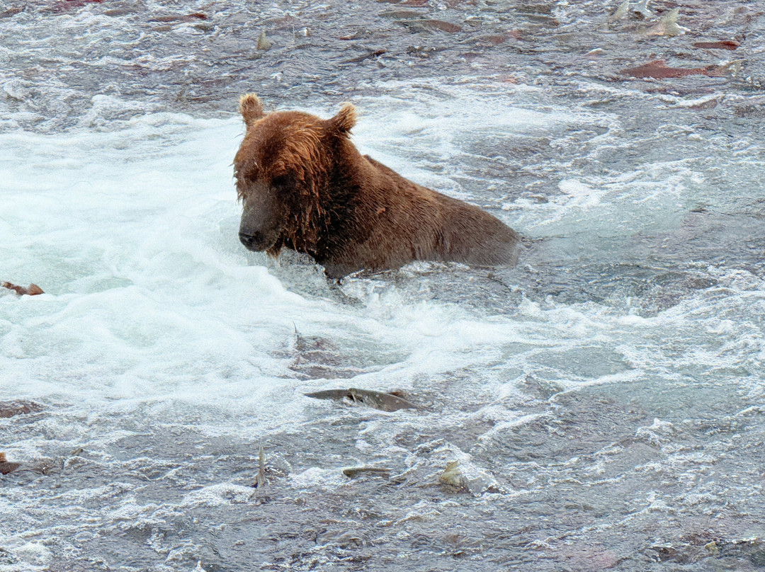 Beryl Air-荷马必去景点
