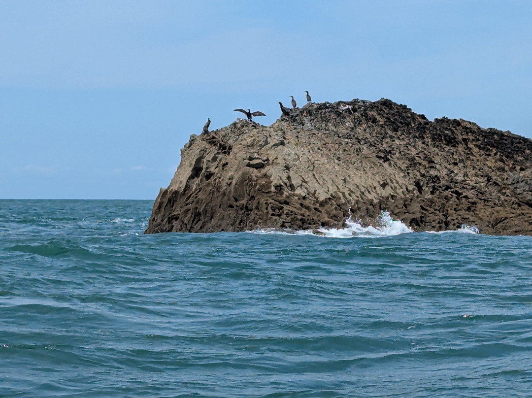 Gower Coast Adventures-Oxwich必去景点