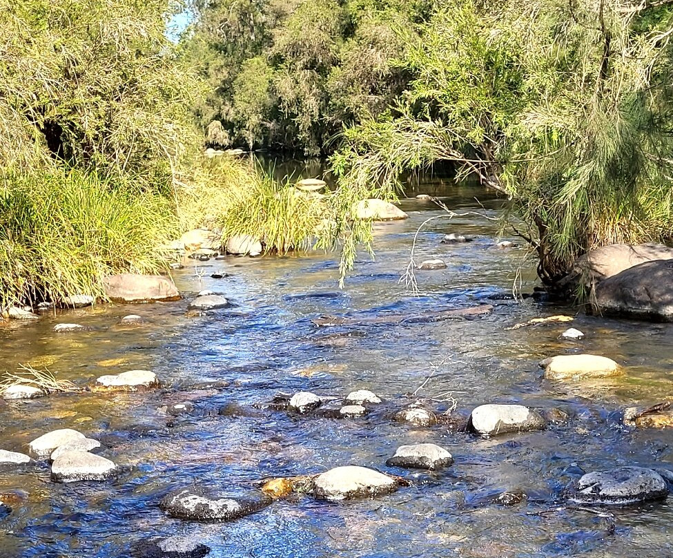 Central Queensland Nature Tours-罗尔斯顿必去景点