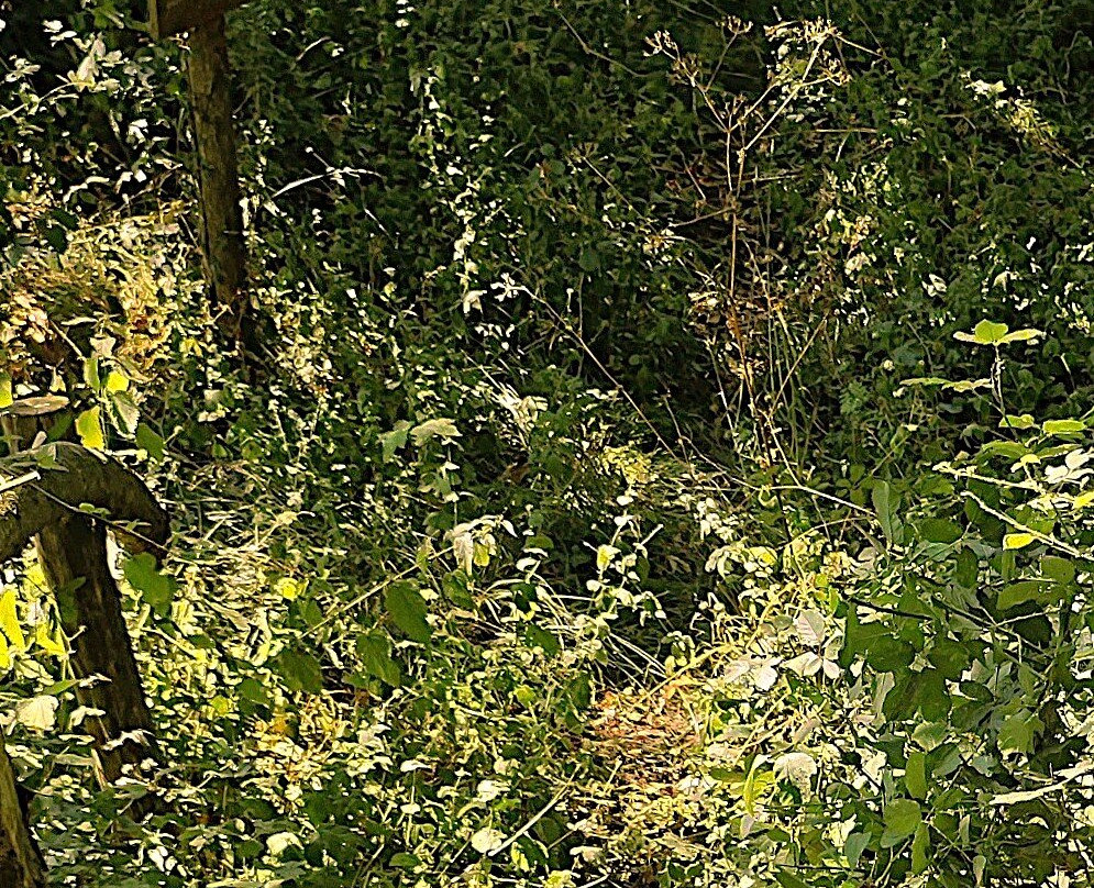 Fontaine - Lavoir Du Gardou-Sepvret必去景点