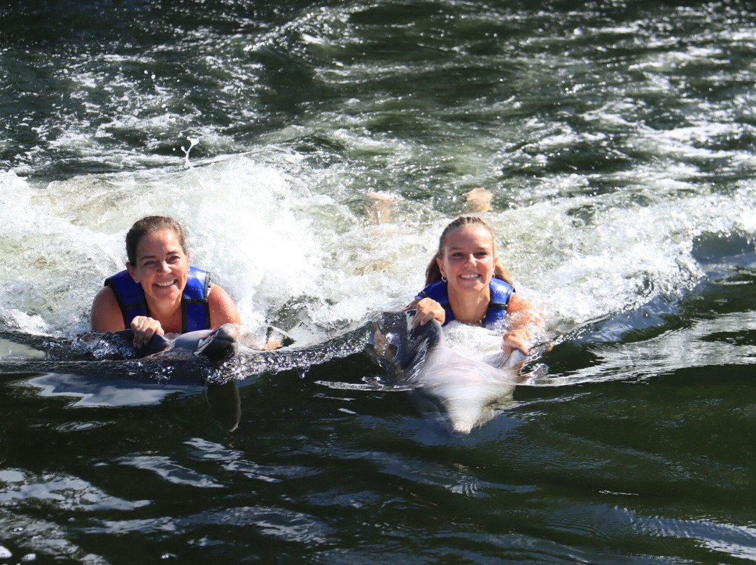 海豚商店-基拉戈-拉哥岛必去景点