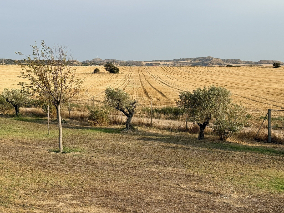 Castillo de Corvinos主图