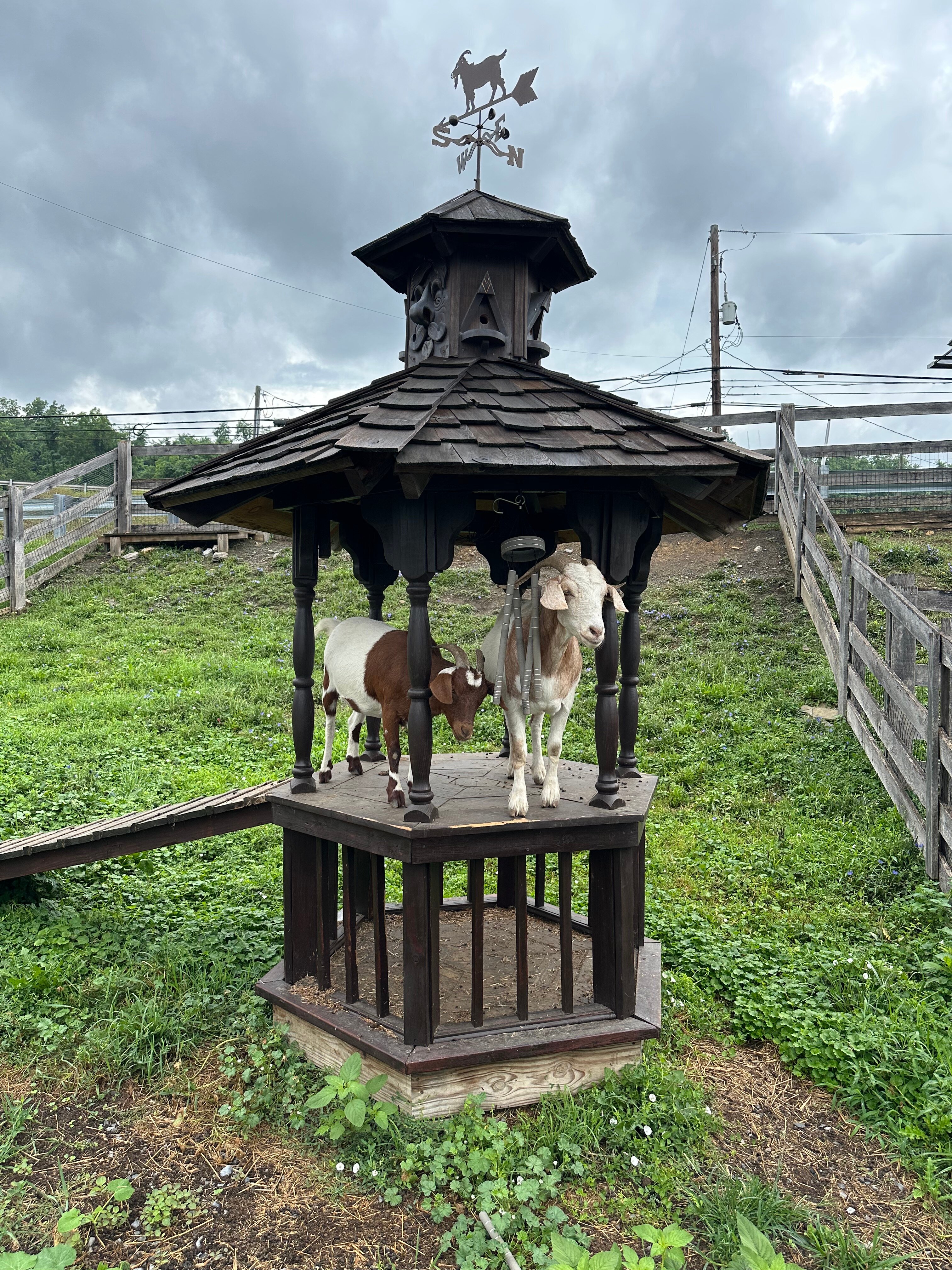 Jean Bonnet Tavern B & B-浴室