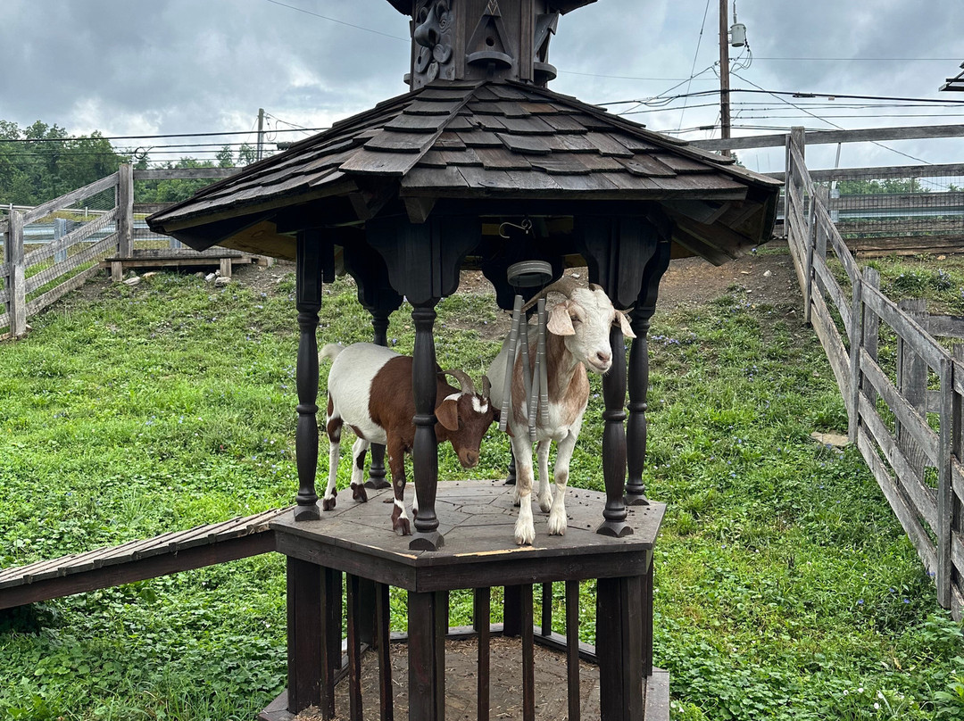 Jean Bonnet Tavern B & B主图