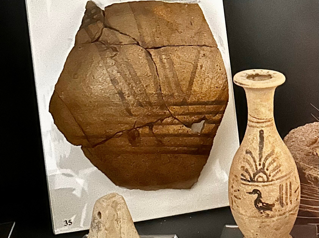 Museo Malacologico-Menfi必去景点