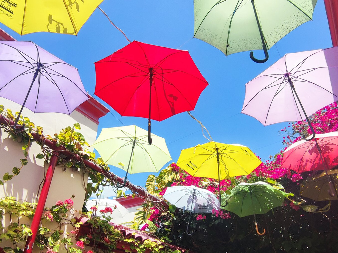 ChileMontana-圣地亚哥必去景点