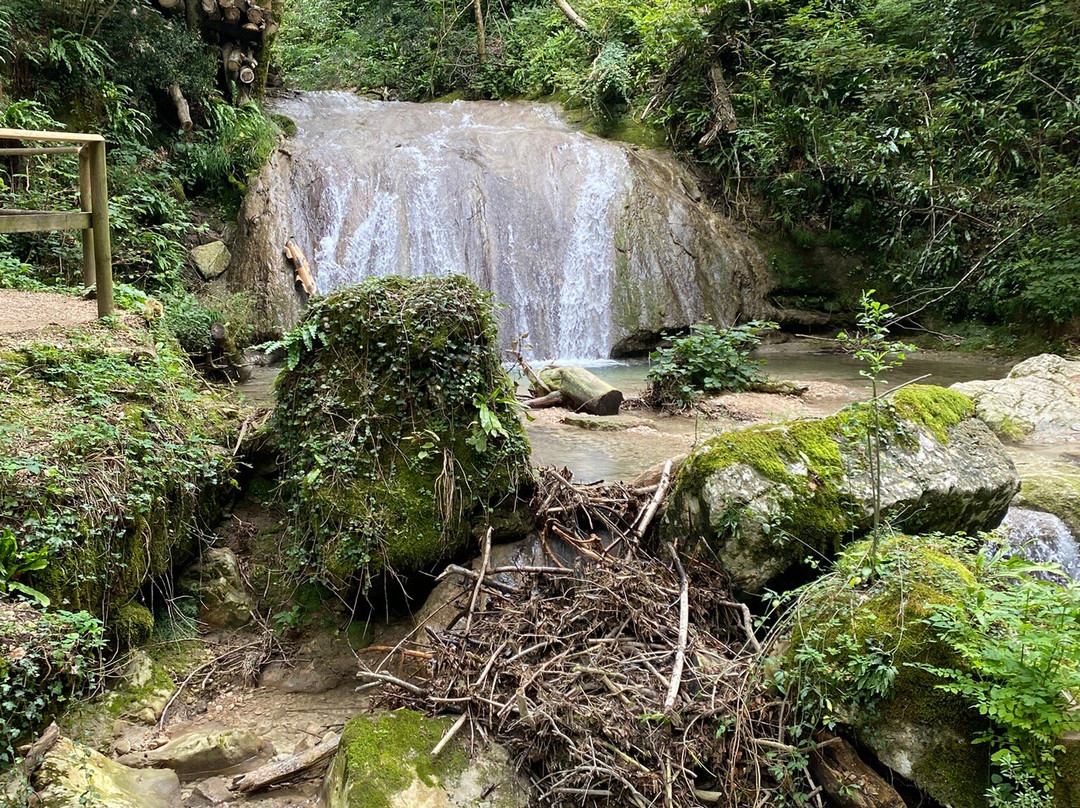 Parco delle Cascate di Molina-Molina必去景点