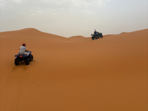 Riad Desert Camel主图