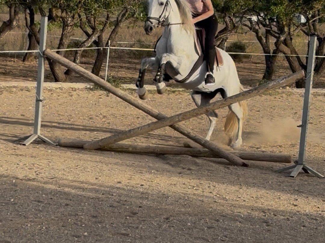 Club Hipico Benissa-贝尼萨必去景点