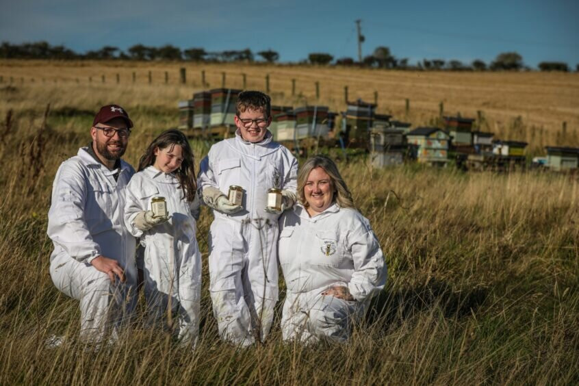 Main's Apiaries-丹弗姆林必去景点