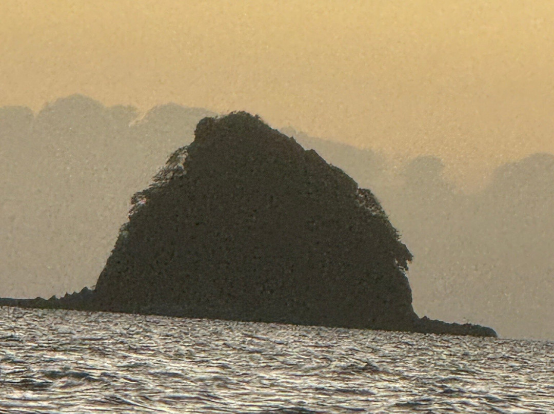 Palm Cove Watersports-棕榈湾必去景点
