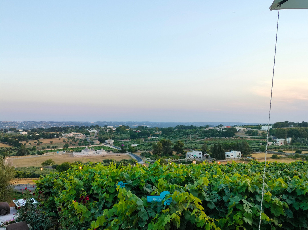 Coppola di Seta主图