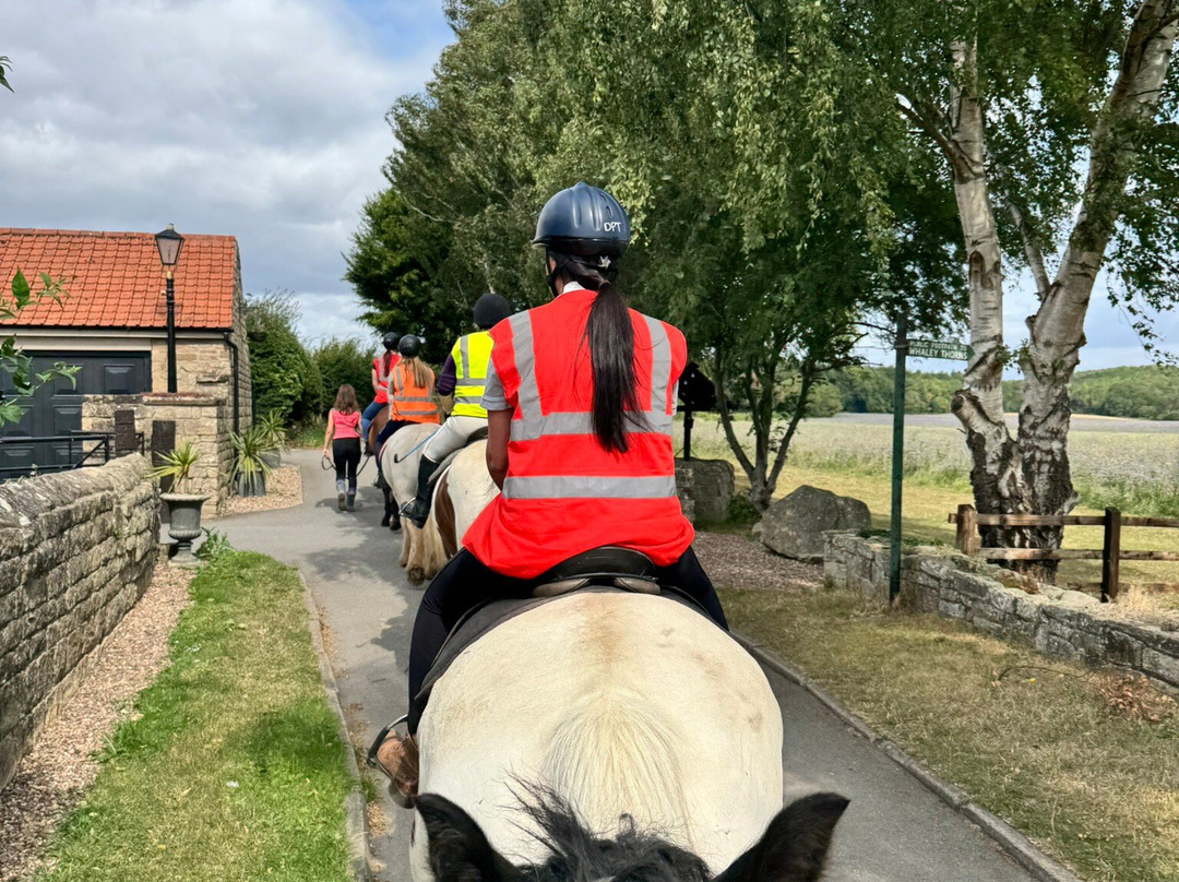 Derbyshire Pony Trekking-Mansfield必去景点