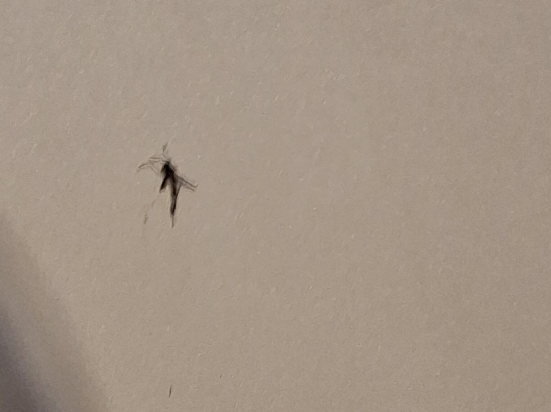 Lakeview Lodge Motel主图