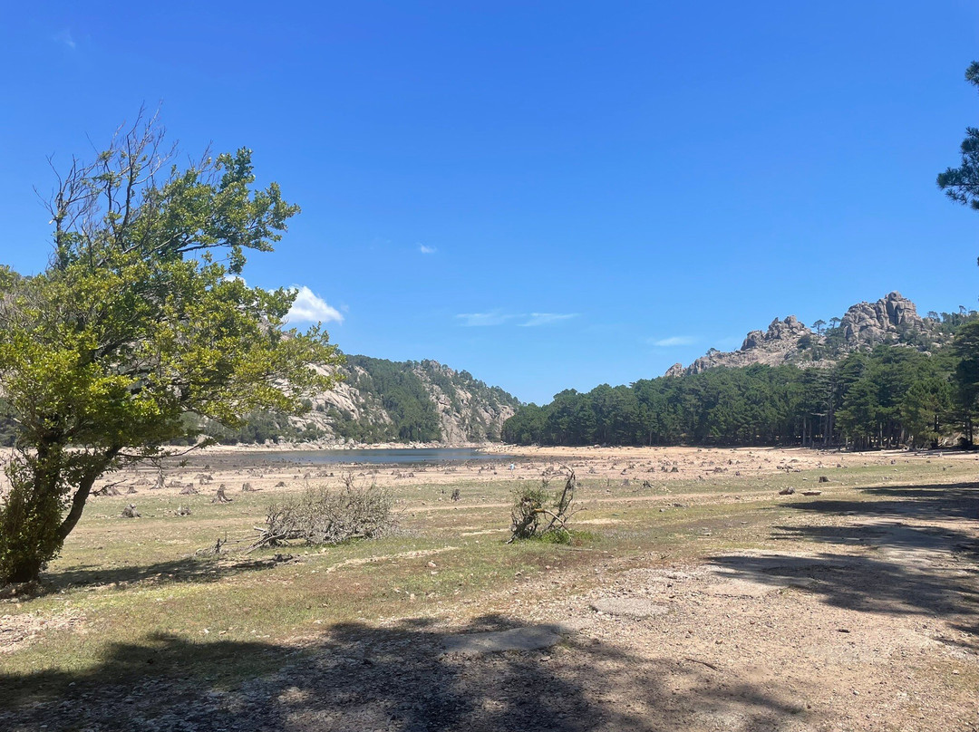 Foret de l'Ospedale-维琪奥港必去景点