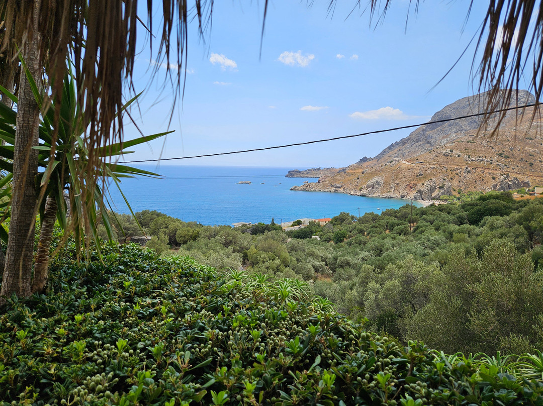 Nostalgia Apartments主图