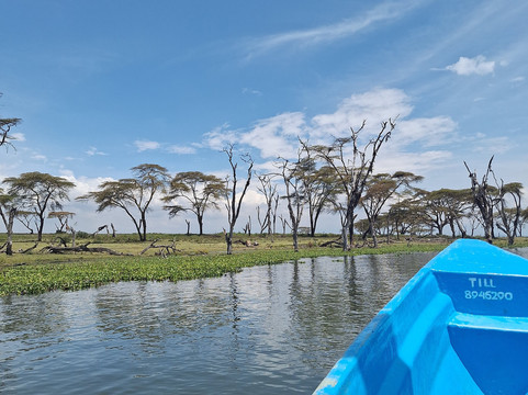 Holidawn Adventures Tours &Travels-内罗毕必去景点