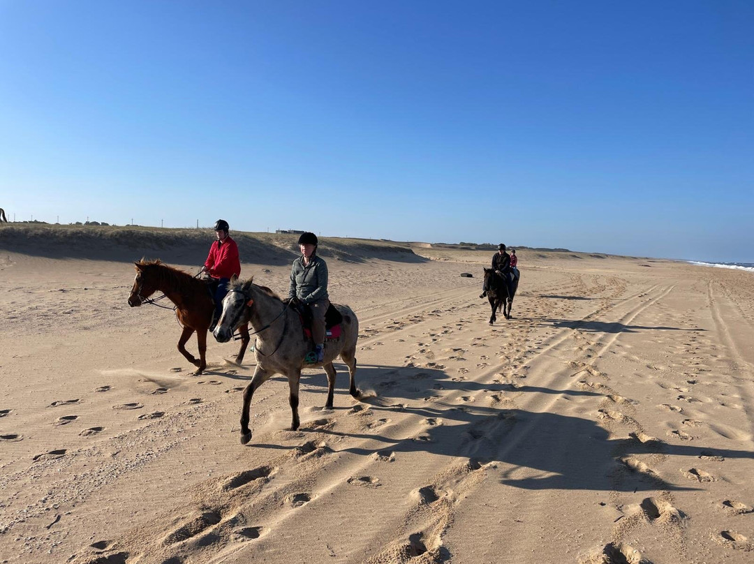 Eco Equus Cabalgatas-La Pedrera必去景点