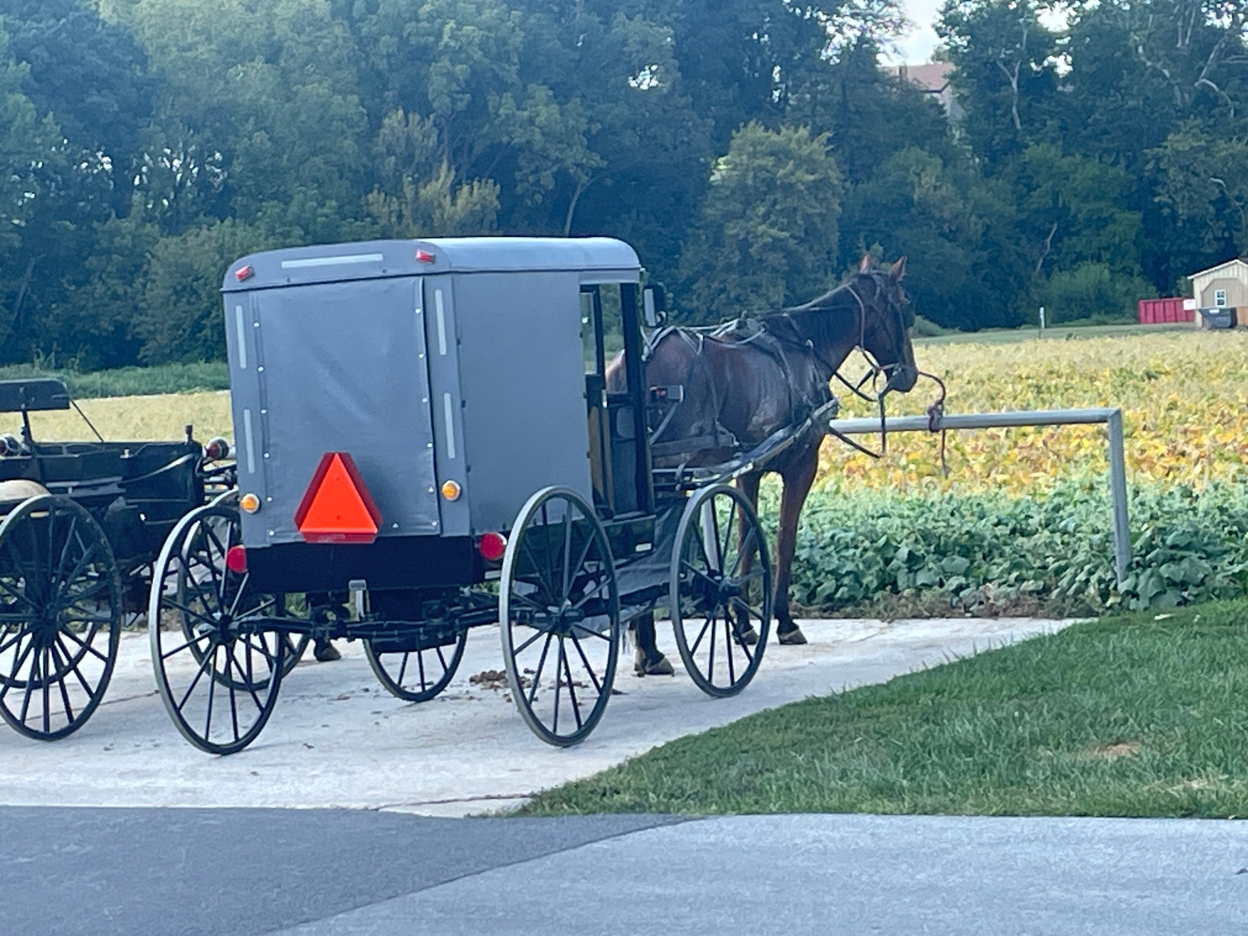 Walnut Lawn B&B-官方