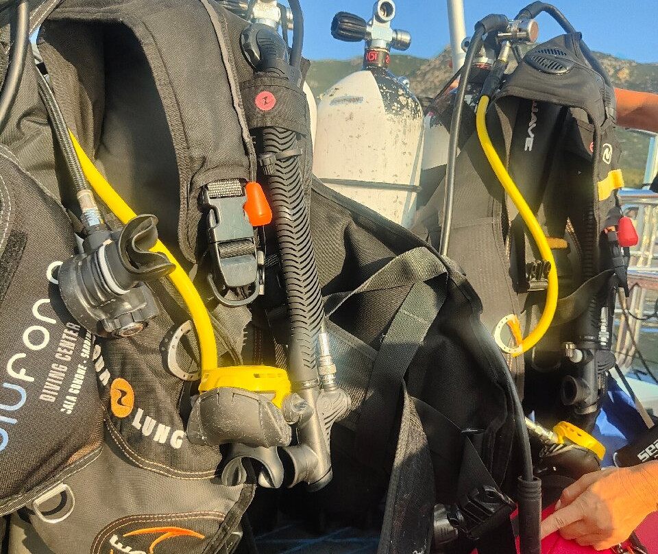 Bluforia Diving Center-Cala Gonone必去景点