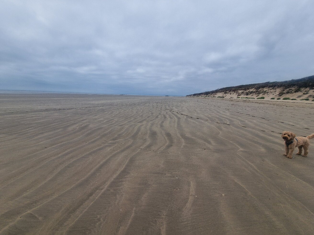 Pembrey Country Park & Beach-Burry Port必去景点