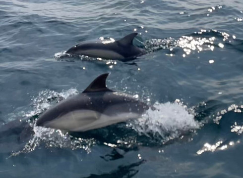 Wetwheels South West-法尔茅斯必去景点