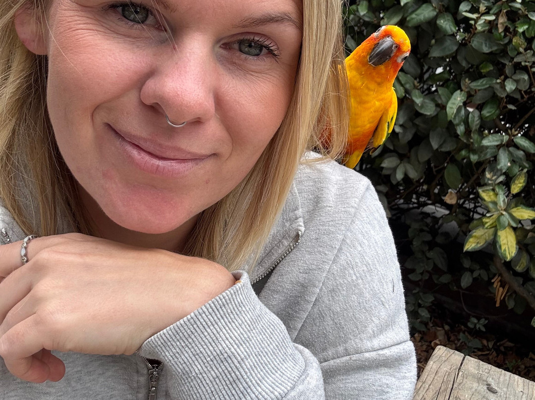 Tropical Birdland-Desford必去景点