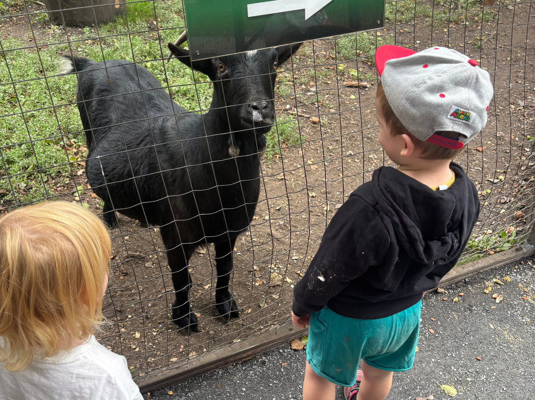Tropical Birdland-Desford必去景点