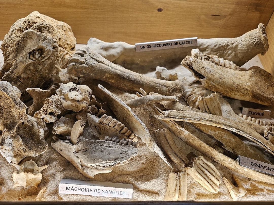 Le Gouffre de Proumeyssac-Audrix必去景点