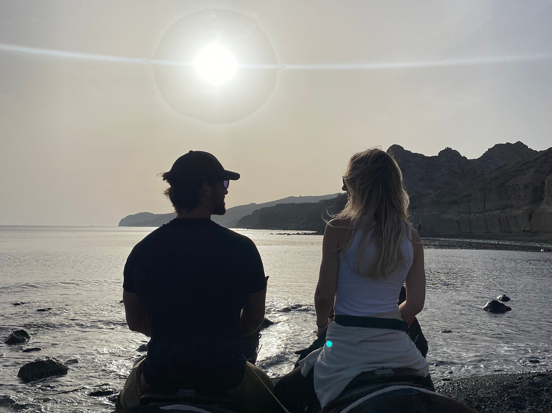 Experience Horse Riding-阿克罗蒂里必去景点