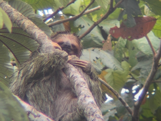 Coati Tours-La Fortuna必去景点