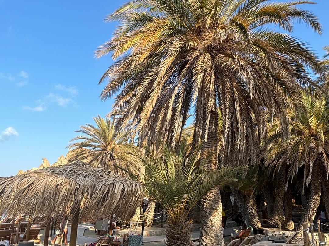 Archaeological Site of Itanos-Vai必去景点