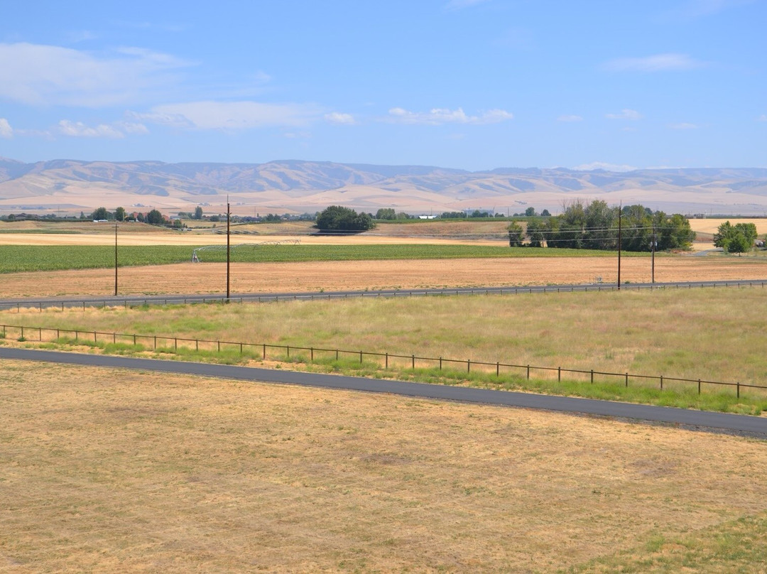 Amavi Cellars-瓦拉瓦拉必去景点